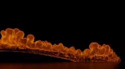Fire Simulation Blender 3D model