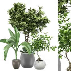 Flower Pack 132 3D model
