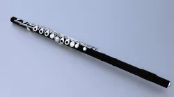 Flute 3D model