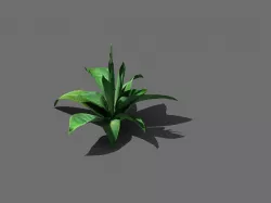 Game Models - Forest - Shrubs 02 3D model