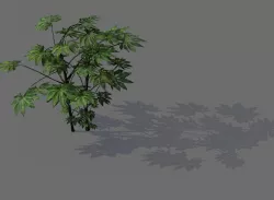 Game Models - Forest - Shrubs 03 3D model