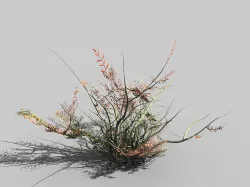 Game Models - Forest - Shrubs 06 3D model