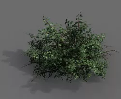 Game Models - Forest - Shrubs 07 3D model