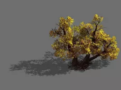 Game Models - Forest - Shrubs 11 3D model