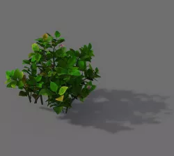 Game Models - Forest - Shrubs 12 3D model