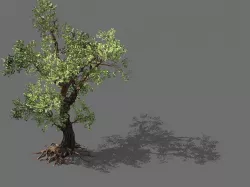 Game Models - Forest - Trees 02 3D model