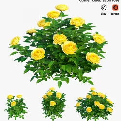 Golden celebration rose  3D model