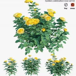 Golden celebration rose  set 02 3D model
