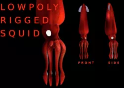 Humboldt Squid 3D model
