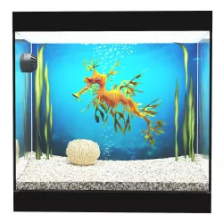 Leafy Sea Dragon 3D model