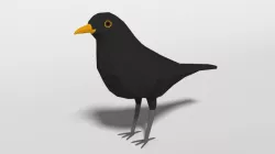 Low Poly Cartoon Blackbird Low-poly 3D model