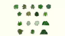 Low poly tree  Texture