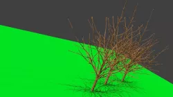  lowpoly tree models Low-poly 3D model