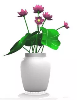 Nymphea Hoa San  3D model
