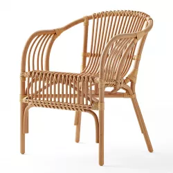 Pari Rattan Chair 3D model