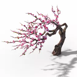 Peach Blossom Island - Peach Tree 03 3D model
