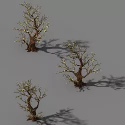Peach Blossom Island - Plant - Big Trees 02 3D model