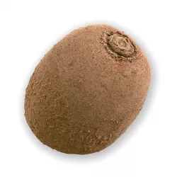 Photorealistic 3D Scanned Kiwi Low-poly 3D model