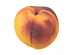 Photorealistic Peach 3D Scan 2 3D model