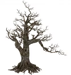 Plant - wind are grass dead tree 06 3D model