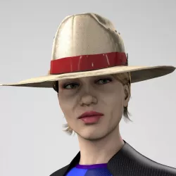 Safe Guard Straw Hat Package  3D model