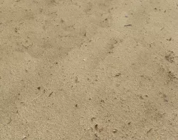 Sand beach terrain PBR pack 7 Texture