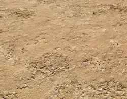 Sand terrain PBR pack 4 Texture