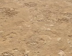 Sand terrain PBR pack 6 Texture