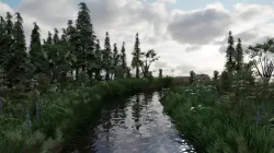 Scene 3D model