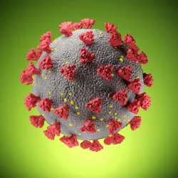 Simple model SARS COV 2 COVID 19  CORONA Virus  3D model