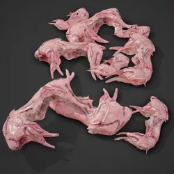 Skinned Rabbit Meat  3D model