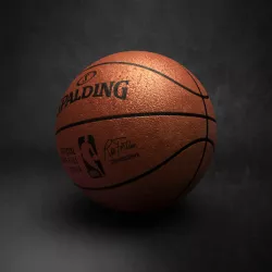 Spalding Official NBA Ball 2 3D models 3D model
