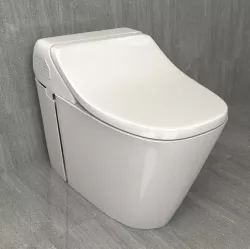Toilet TOTO-CES999T 3D model