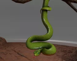 Viper Snake 3D model