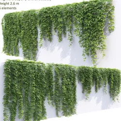 Virginia Creeper 01 3D model