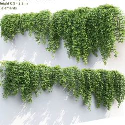 Virginia Creeper 02 3D model