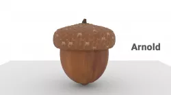 3D Acorn Model 3D model