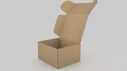 Adjustable and Rigged Box Package 3D model