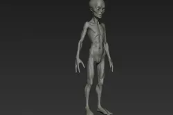Alien Humanoid 3D model