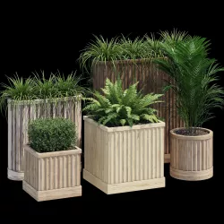 Bamboo planter 3D model