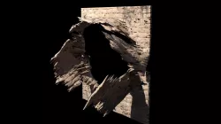 BROKEN WOOD 3D model