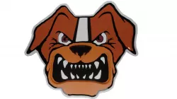 Browns logo 3D model
