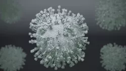 corona virus Low-poly 3D model