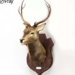 Deer head 3d model Low-poly 3D model