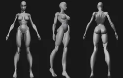 female base mesh 3D model