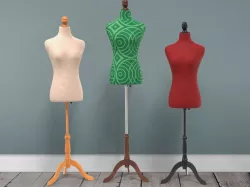 Female Mannequin Torso 3D model