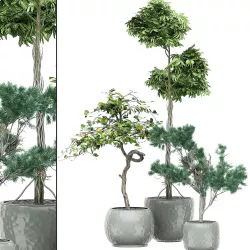 Flower Pack 137 3D model