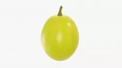 Grape berry 3D model