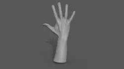 Hand 3d Model 3D model