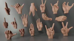 Hands 3D model